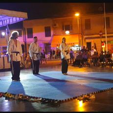 Ju Jitsu - Dimostrazione a Rovigo