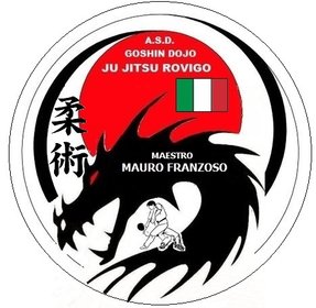 Ju Jitsu Rovigo Logo - M° Mauro Franzoso