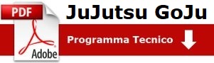 Programma tecnico Ju Jitsu Rovigo